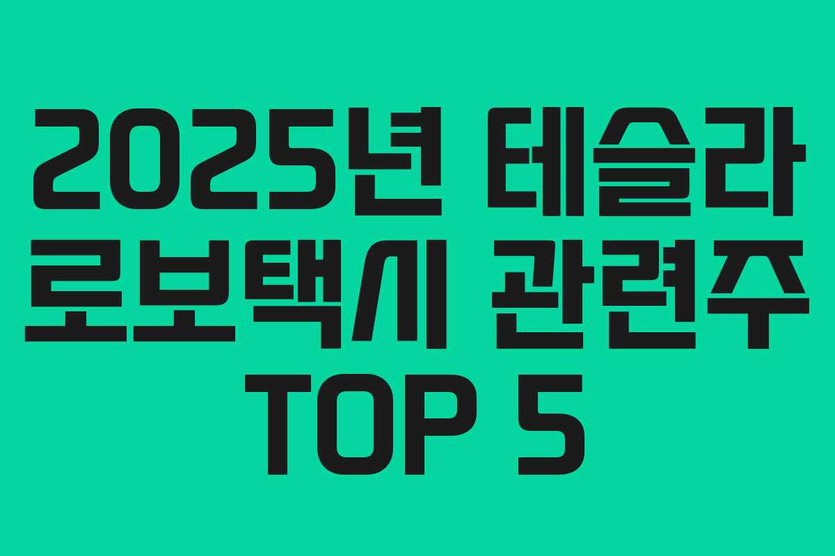 2025년 테슬라 로보택시 관련주 TOP 5 2025년 테슬라 로보택시 관련주 TOP 5