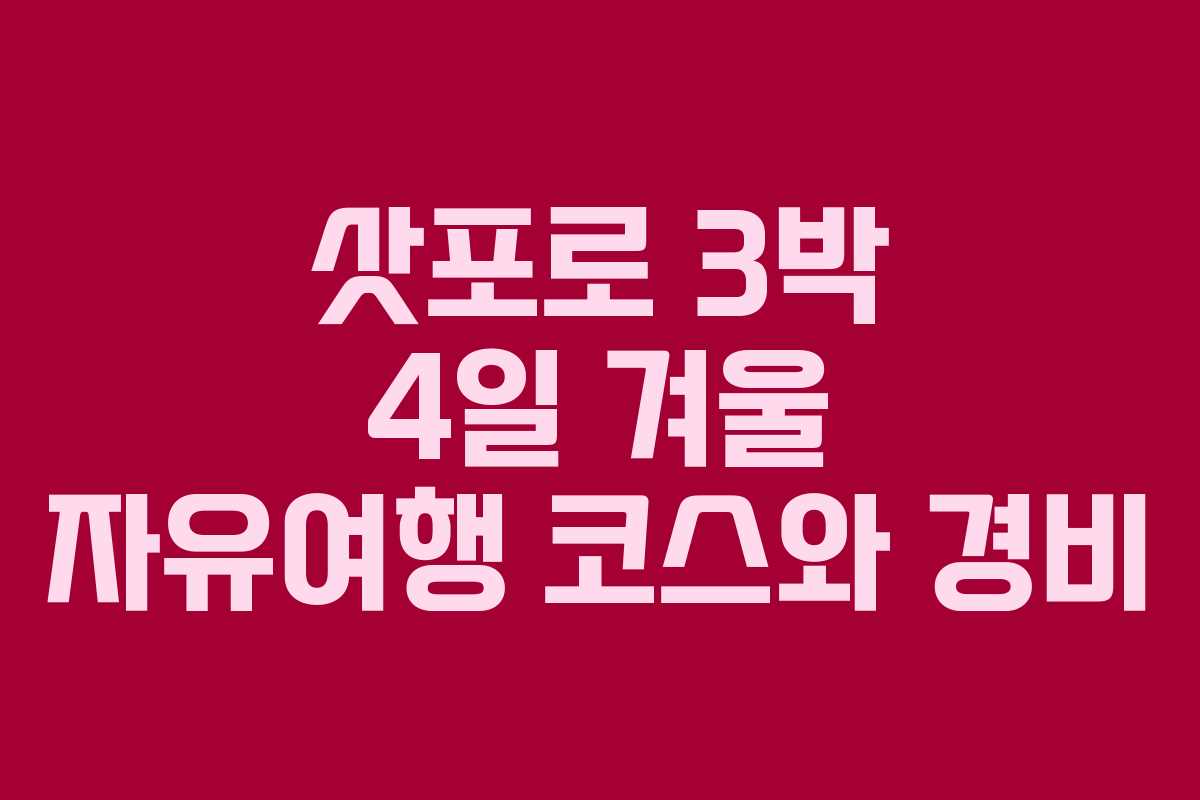 삿포로 3박 4일 겨울 자유여행 코스와 경비