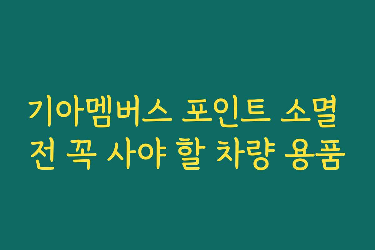 기아멤버스 포인트 소멸 전 꼭 사야 할 차량 용품