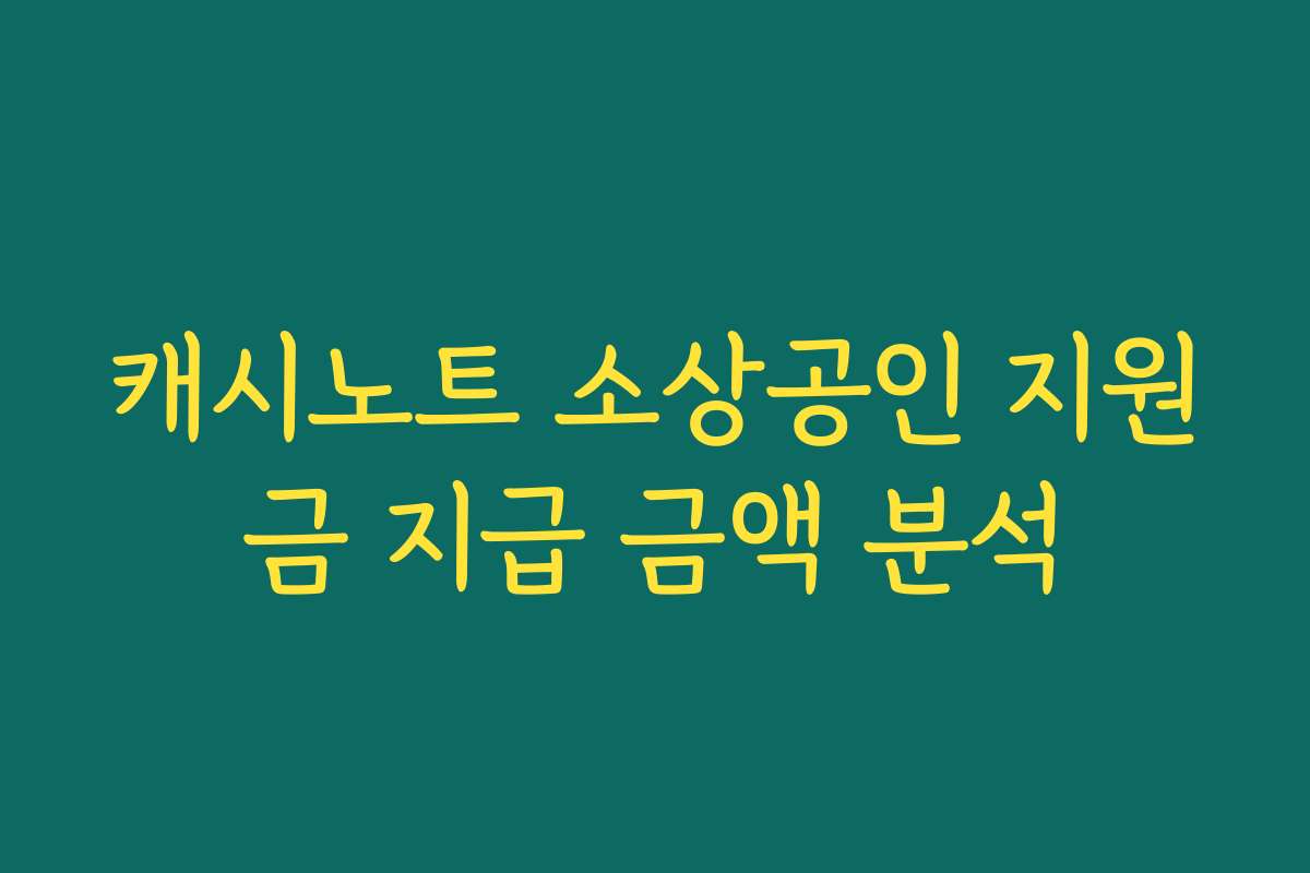 캐시노트 소상공인 지원금 지급 금액 분석