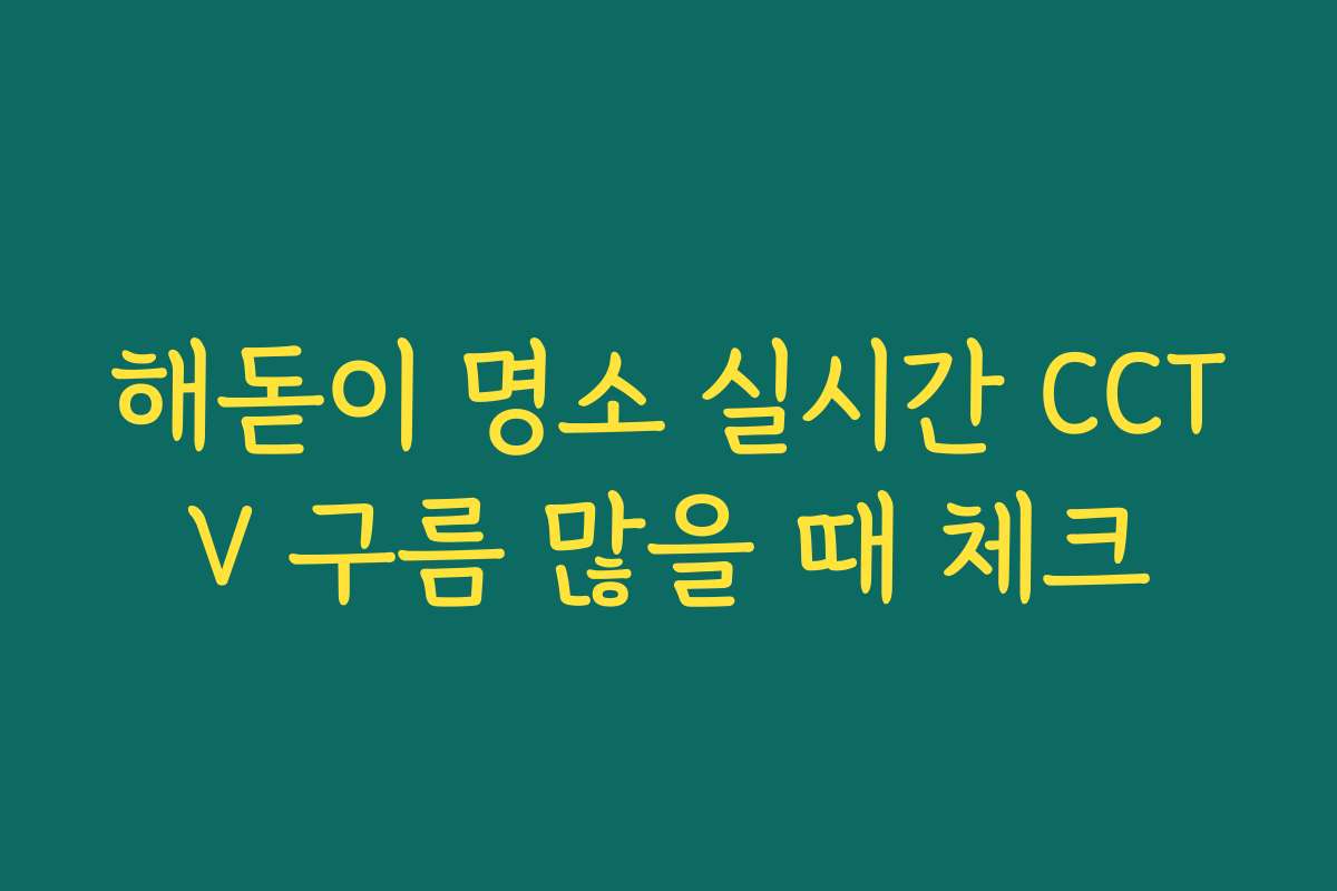 해돋이 명소 실시간 CCTV 구름 많을 때 체크