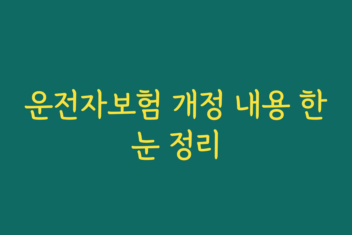 운전자보험 개정 내용 한눈 정리 운전자보험 개정 내용 한눈 정리