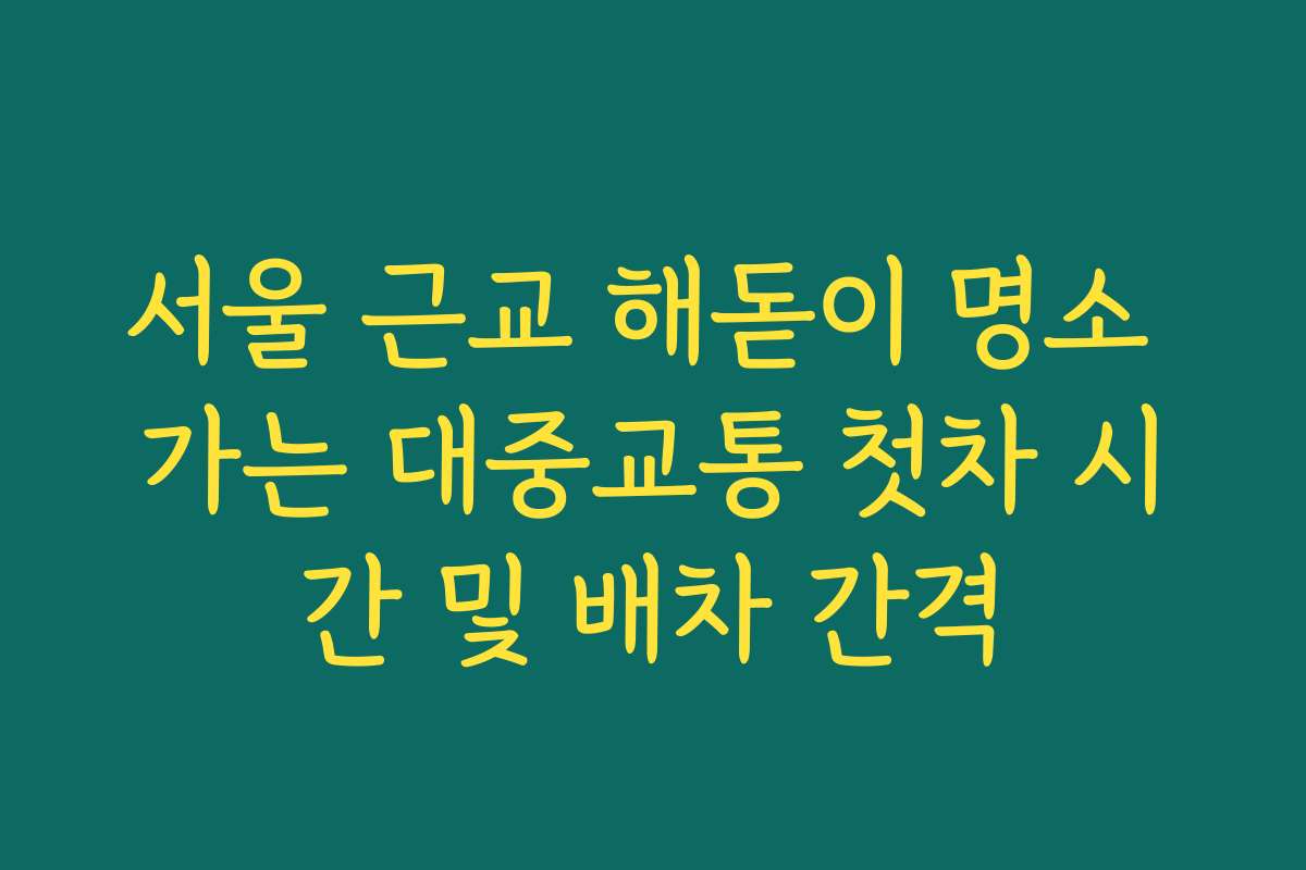 서울 근교 해돋이 명소 가는 대중교통 첫차 시간 및 배차 간격