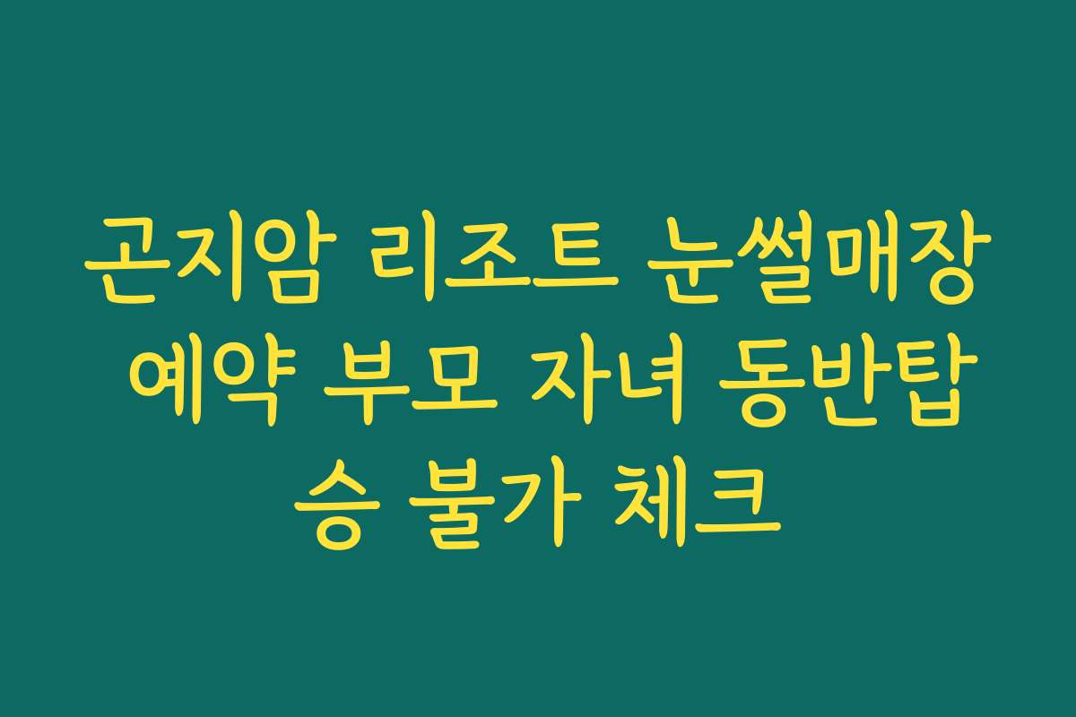 곤지암 리조트 눈썰매장 예약 부모 자녀 동반탑승 불가 체크
