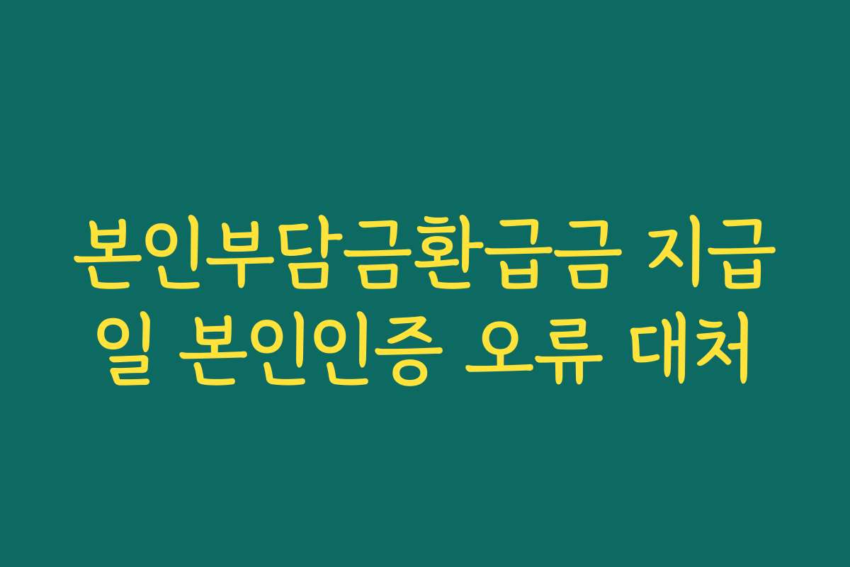 본인부담금환급금 지급일 본인인증 오류 대처 본인부담금환급금 지급일 본인인증 오류 대처