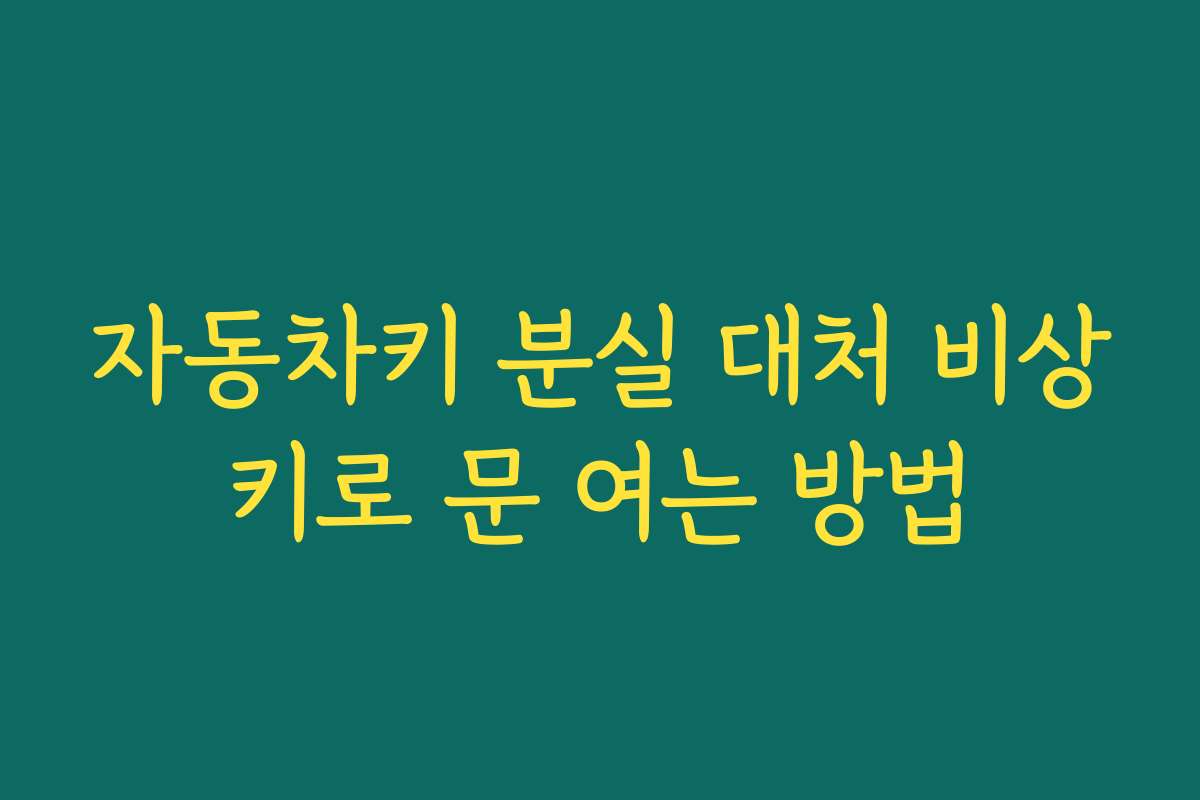 자동차키 분실 대처 비상키로 문 여는 방법