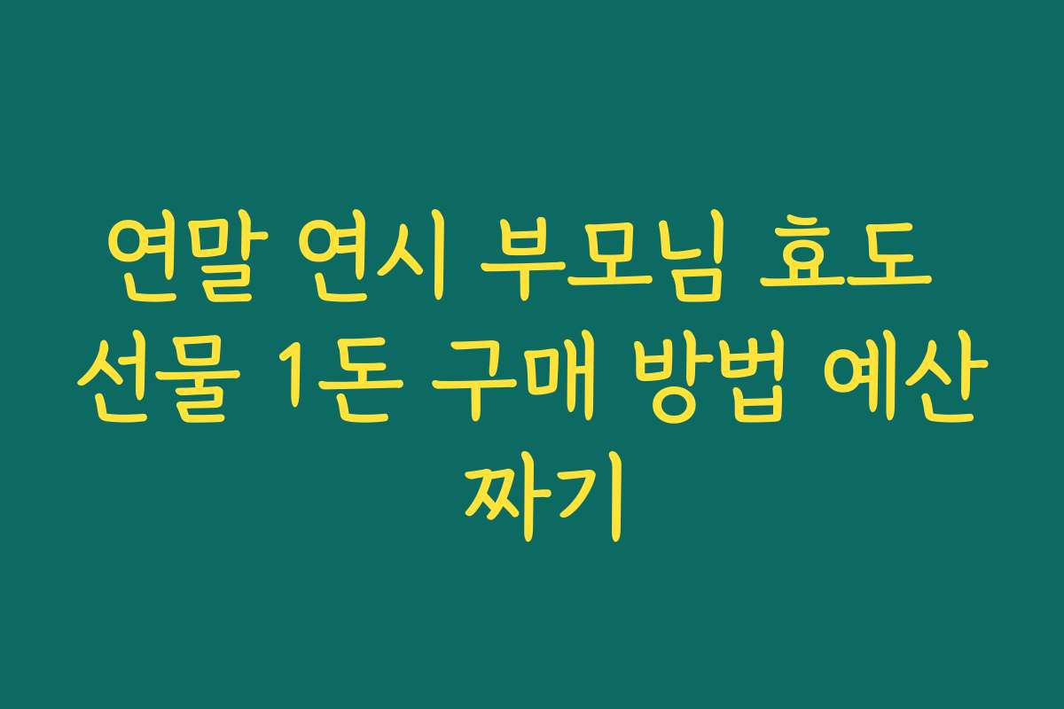 연말 연시 부모님 효도 선물 1돈 구매 방법 예산 짜기 연말 연시 부모님 효도 선물 1돈 구매 방법 예산 짜기