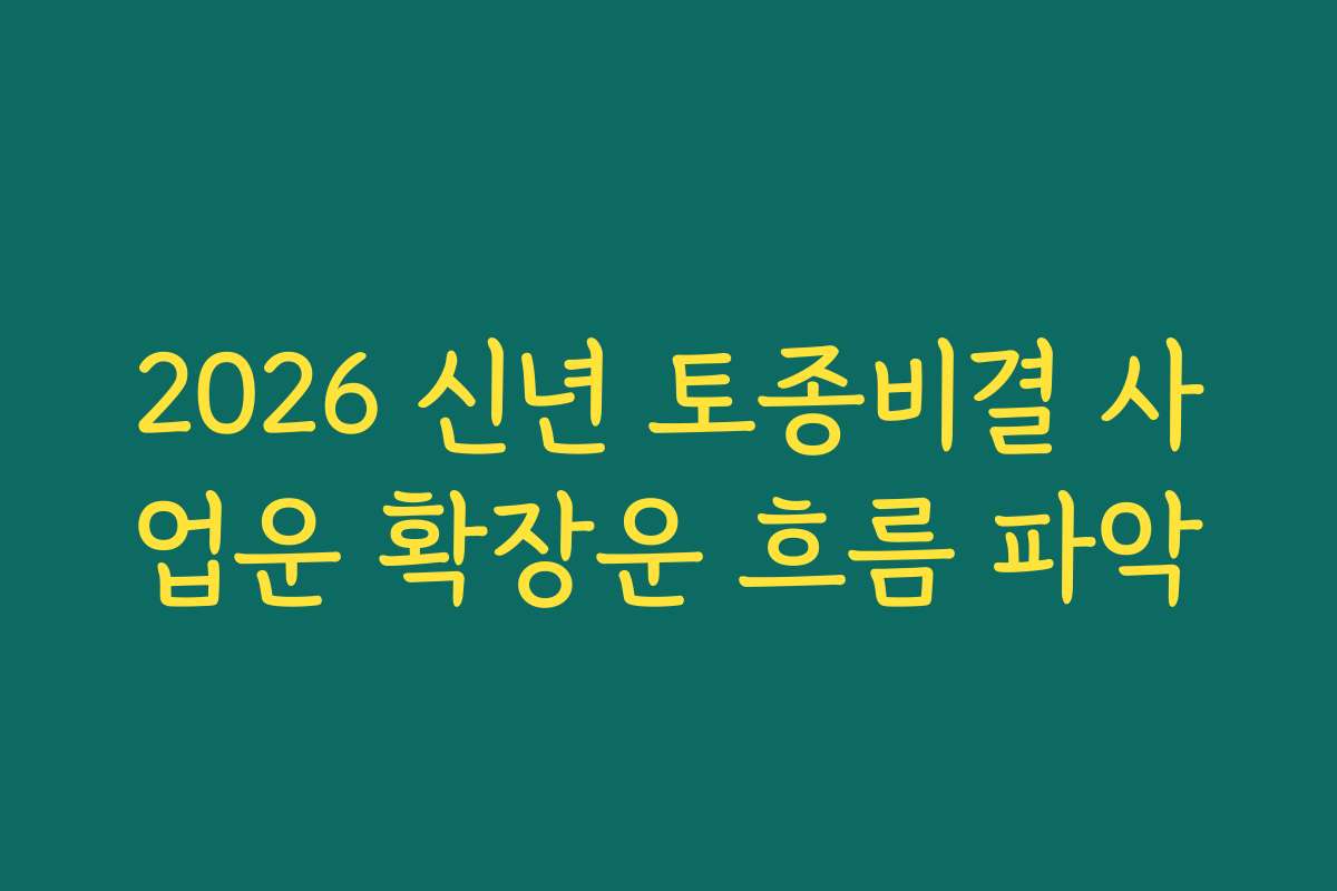 2026 신년 토종비결 사업운 확장운 흐름 파악