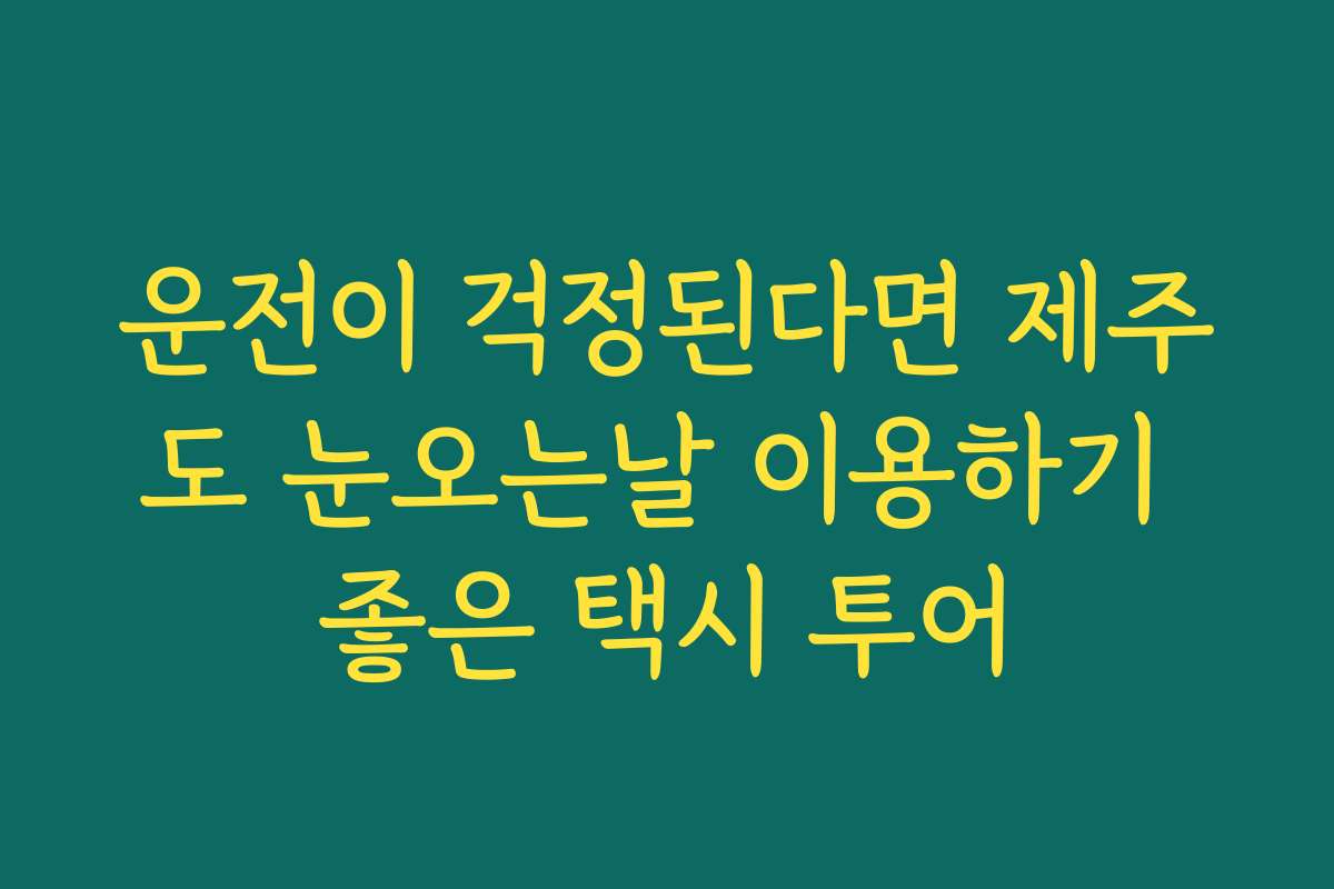 운전이 걱정된다면 제주도 눈오는날 이용하기 좋은 택시 투어