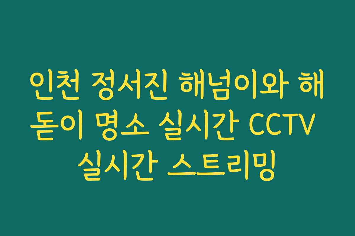 인천 정서진 해넘이와 해돋이 명소 실시간 CCTV 실시간 스트리밍