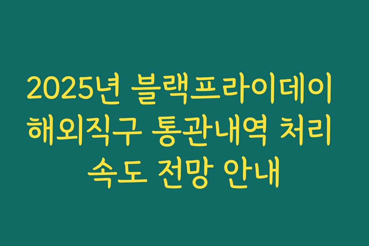 2025년 블랙프라이데이 해외직구 통관내역 처리 속도 전망 안내