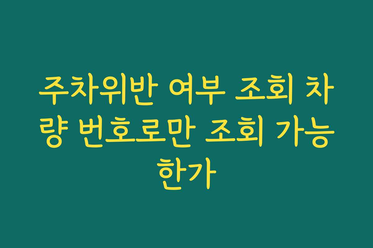 주차위반 여부 조회 차량 번호로만 조회 가능한가