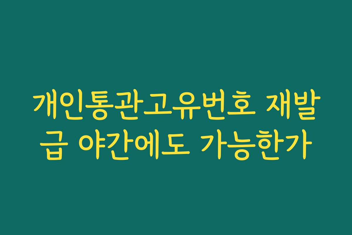 개인통관고유번호 재발급 야간에도 가능한가