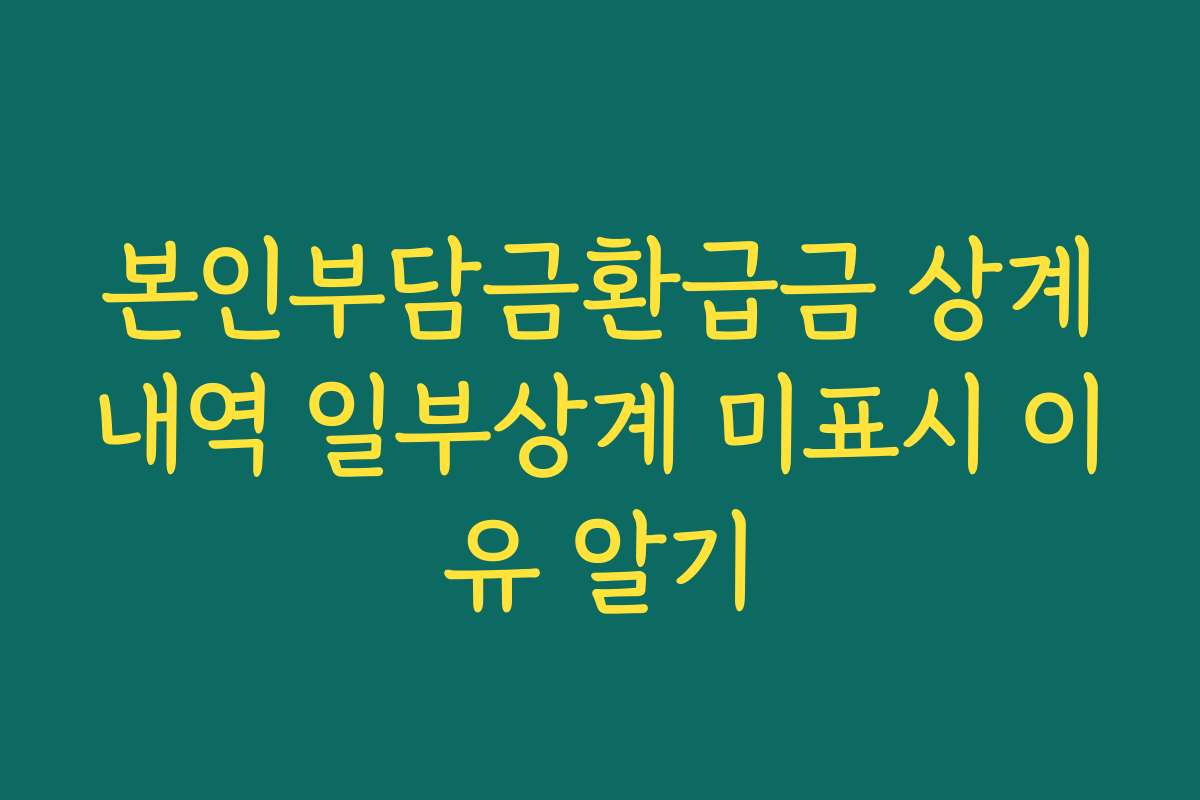 본인부담금환급금 상계내역 일부상계 미표시 이유 알기