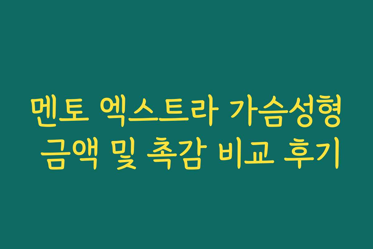 멘토 엑스트라 가슴성형 금액 및 촉감 비교 후기