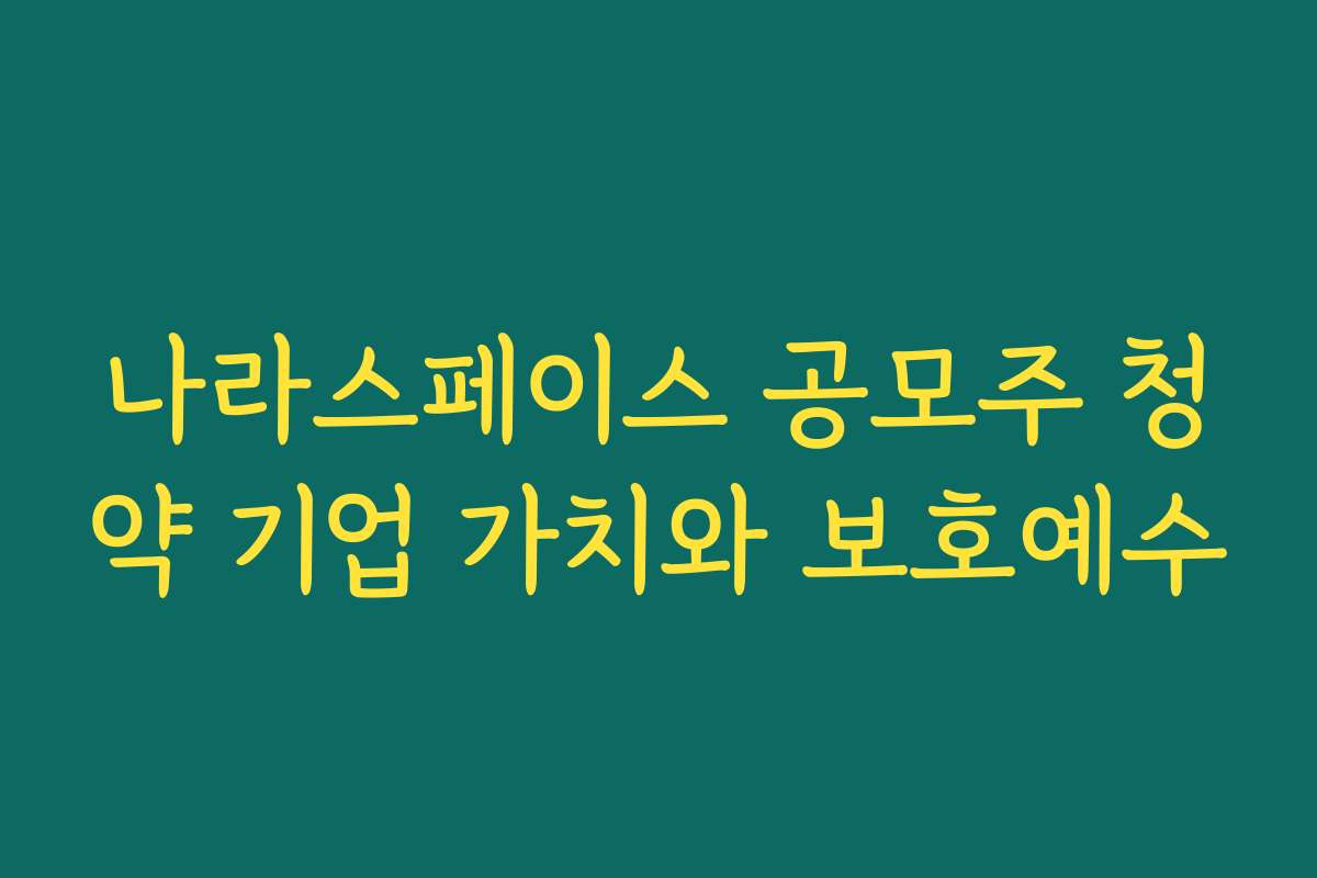 나라스페이스 공모주 청약 기업 가치와 보호예수