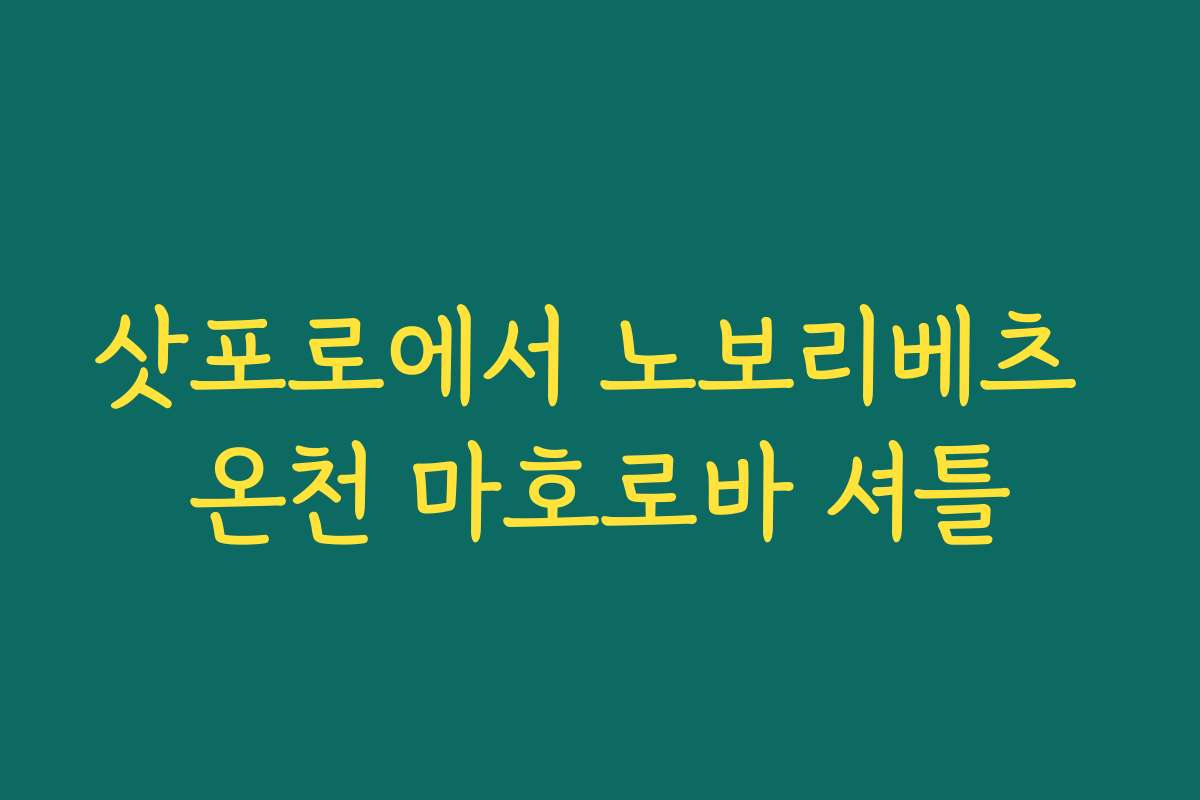 삿포로에서 노보리베츠 온천 마호로바 셔틀 삿포로에서 노보리베츠 온천 마호로바 셔틀
