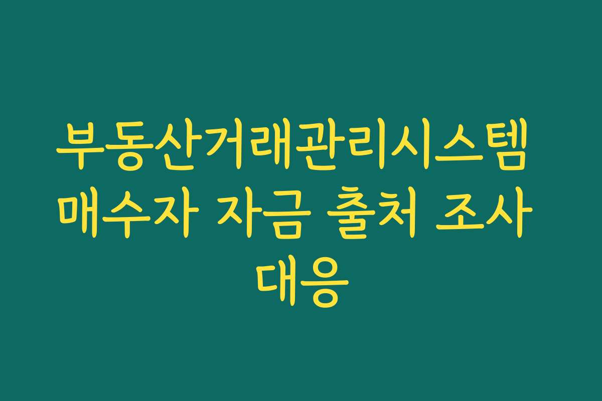 부동산거래관리시스템 매수자 자금 출처 조사 대응