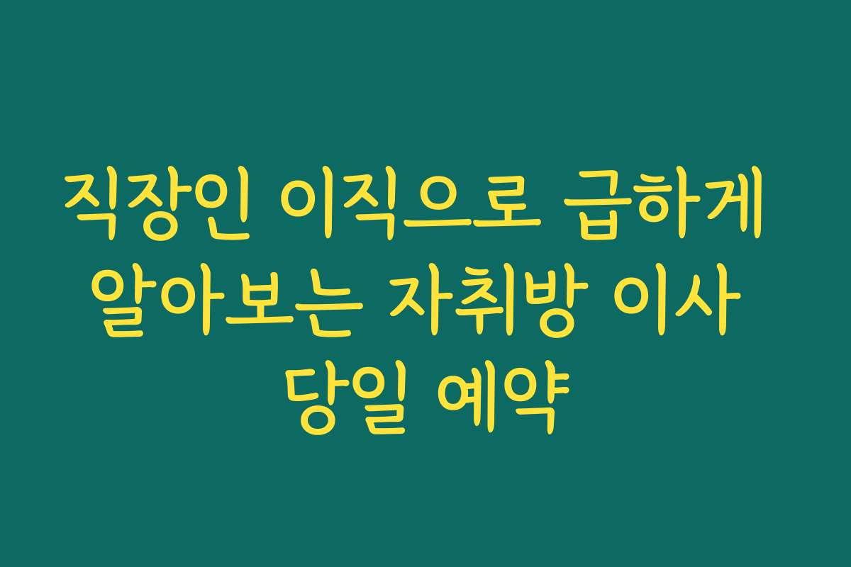 직장인 이직으로 급하게 알아보는 자취방 이사 당일 예약