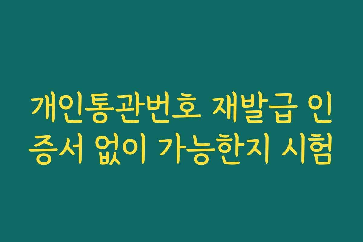 개인통관번호 재발급 인증서 없이 가능한지 시험