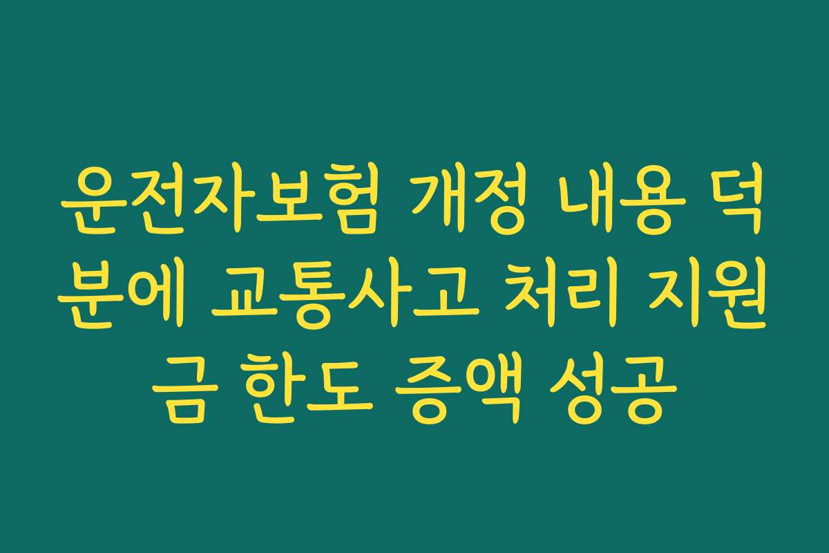 운전자보험 개정 내용 덕분에 교통사고 처리 지원금 한도 증액 성공 운전자보험 개정 내용 덕분에 교통사고 처리 지원금 한도 증액 성공