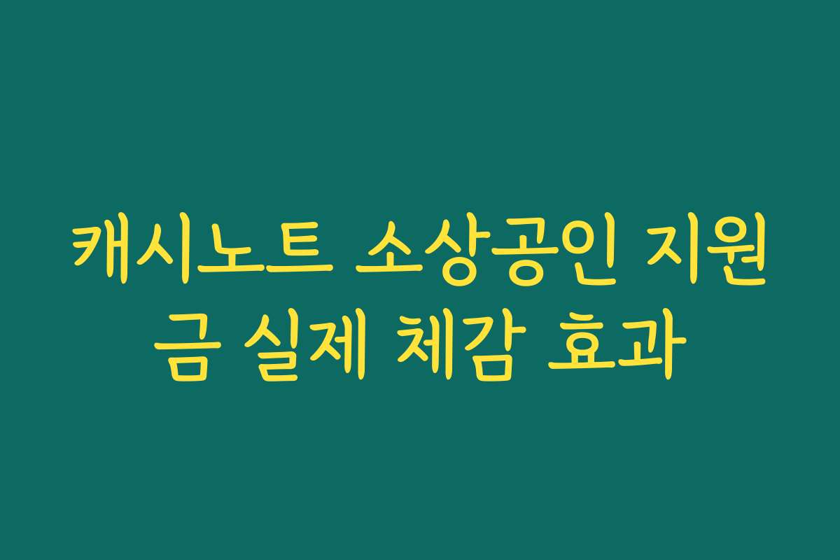 캐시노트 소상공인 지원금 실제 체감 효과