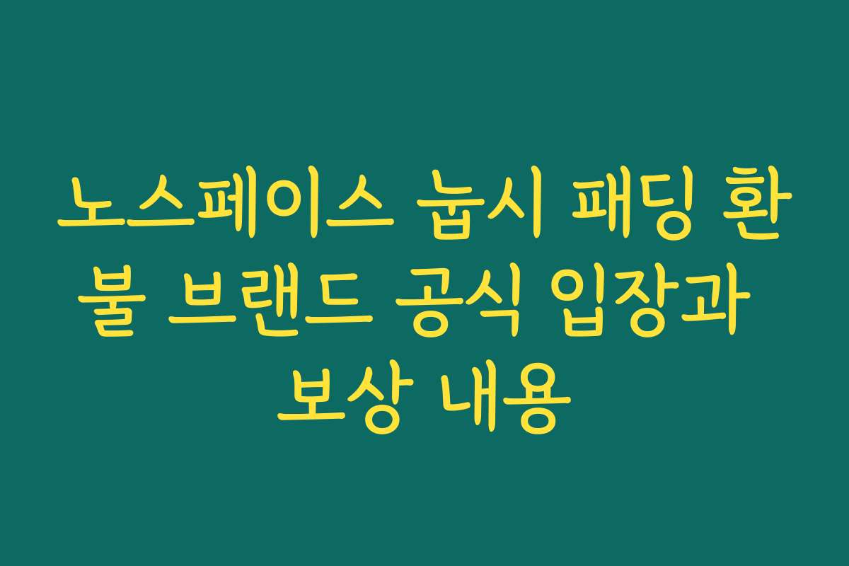 노스페이스 눕시 패딩 환불 브랜드 공식 입장과 보상 내용 노스페이스 눕시 패딩 환불 브랜드 공식 입장과 보상 내용