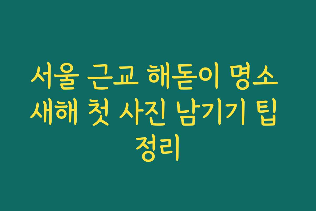 서울 근교 해돋이 명소 새해 첫 사진 남기기 팁 정리 서울 근교 해돋이 명소 새해 첫 사진 남기기 팁 정리