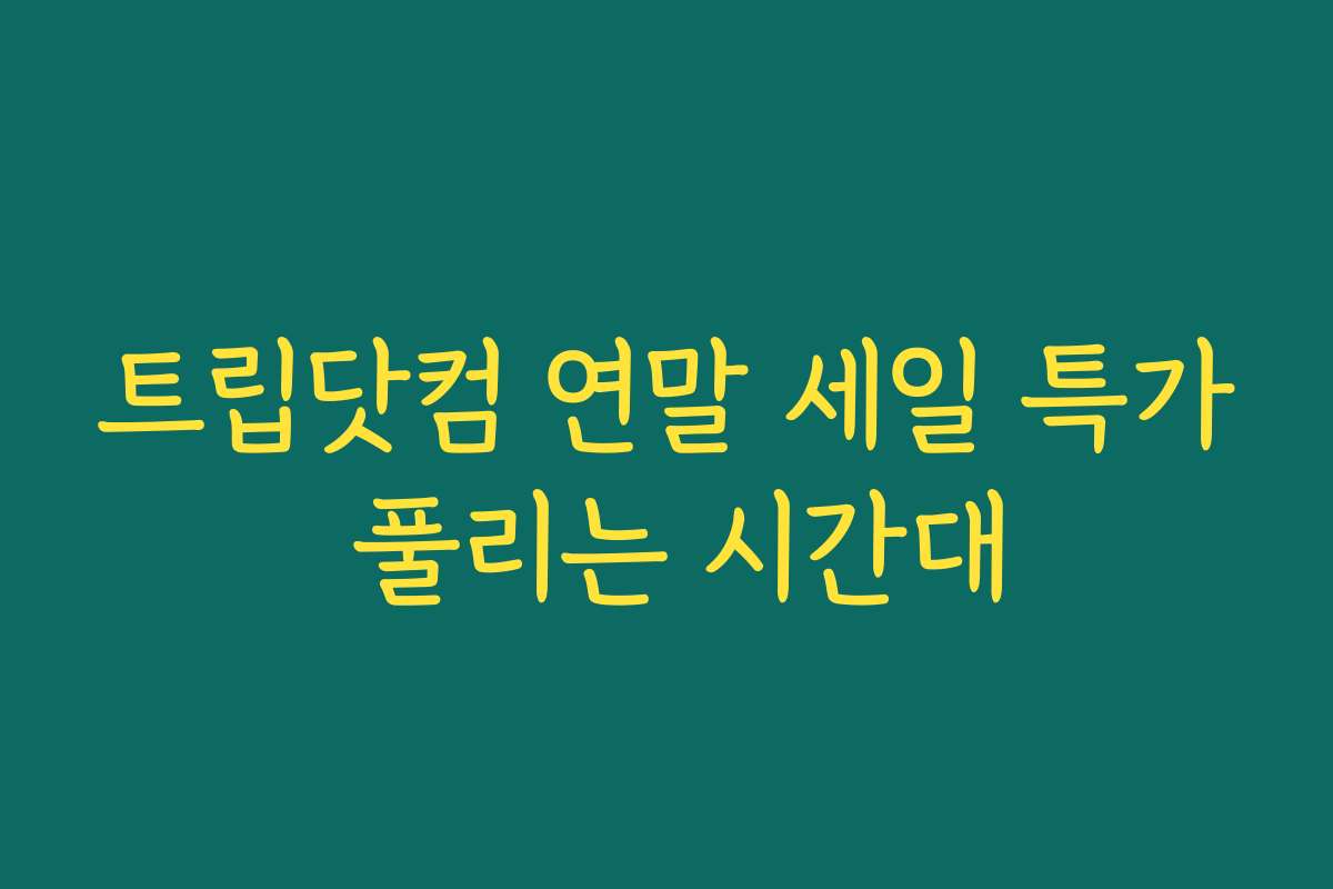 트립닷컴 연말 세일 특가 풀리는 시간대 트립닷컴 연말 세일 특가 풀리는 시간대