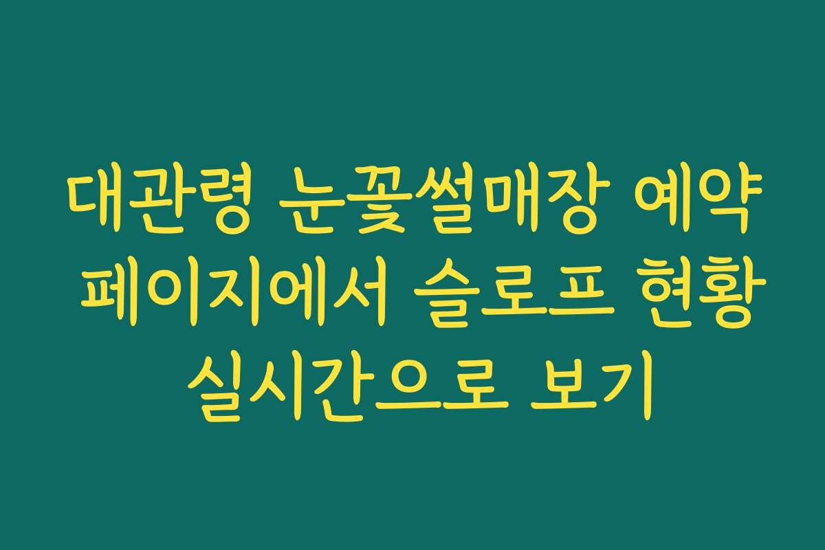 대관령 눈꽃썰매장 예약 페이지에서 슬로프 현황 실시간으로 보기