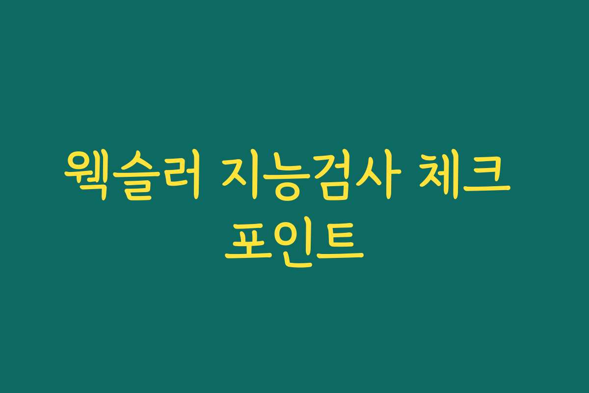 웩슬러 지능검사 체크 포인트