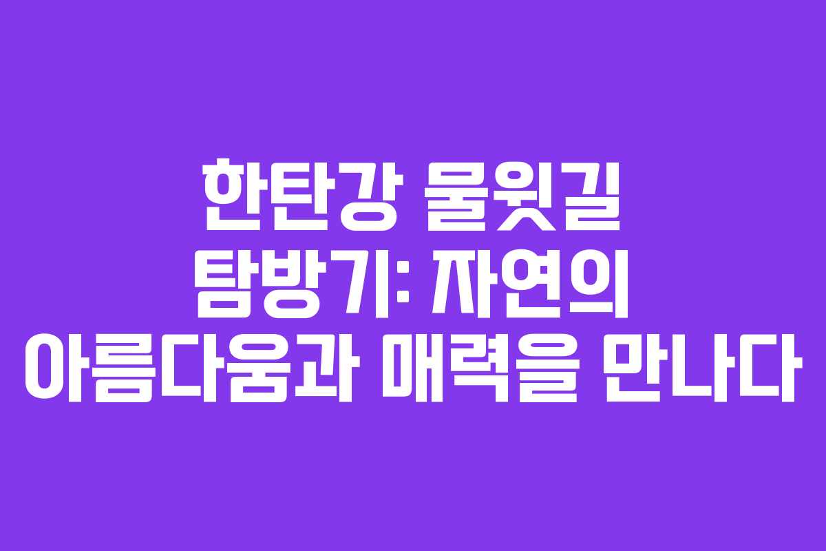 한탄강 물윗길 탐방기: 자연의 아름다움과 매력을 만나다