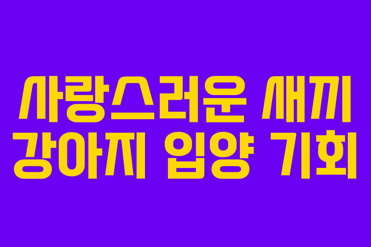 사랑스러운 새끼 강아지 입양 기회 사랑스러운 새끼 강아지 입양 기회