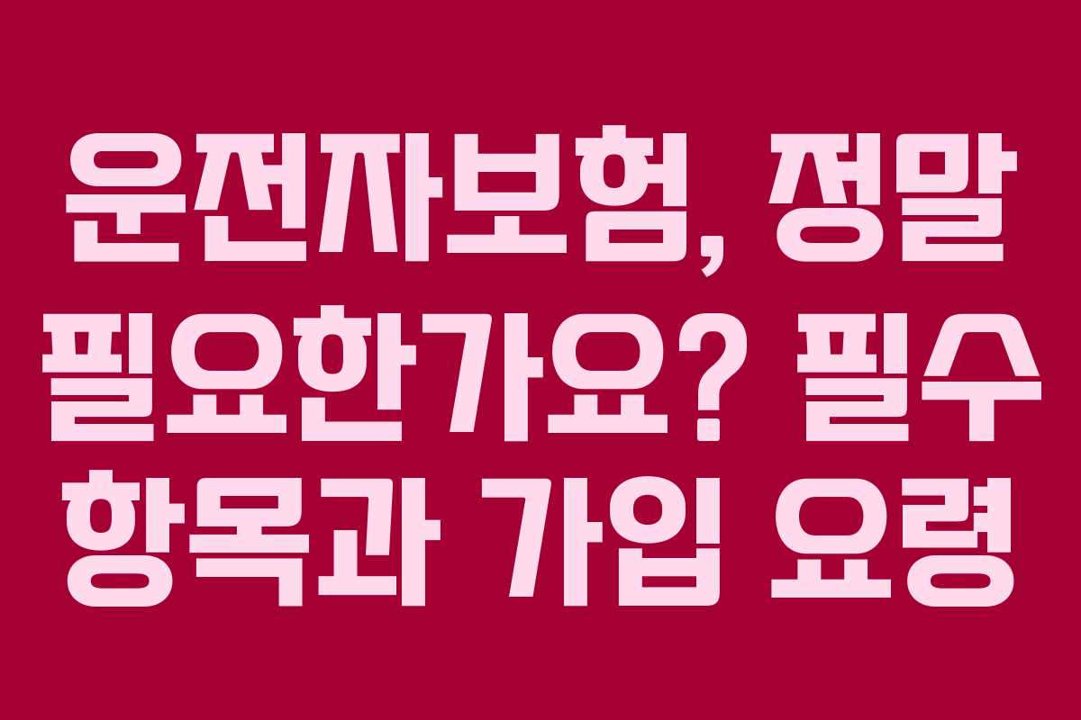 운전자보험, 정말 필요한가요? 필수 항목과 가입 요령 운전자보험, 정말 필요한가요? 필수 항목과 가입 요령