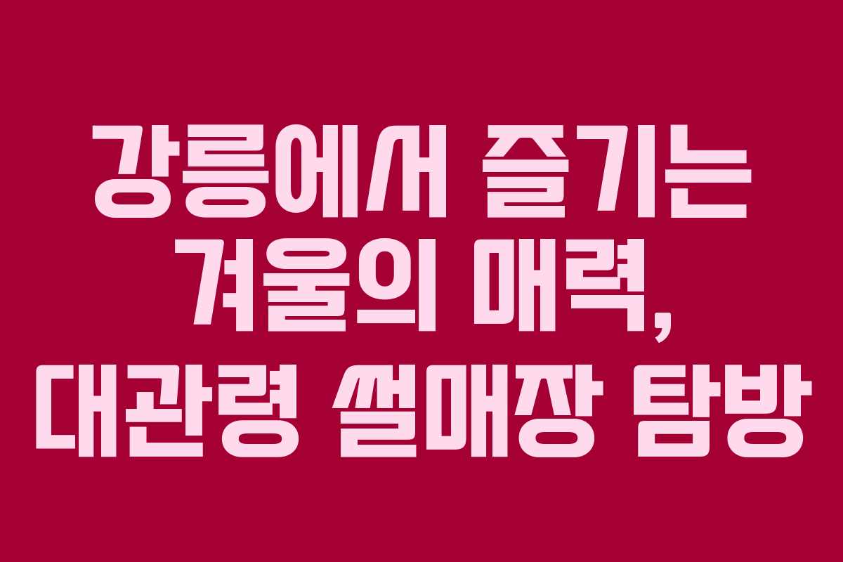 강릉에서 즐기는 겨울의 매력, 대관령 썰매장 탐방 강릉에서 즐기는 겨울의 매력, 대관령 썰매장 탐방