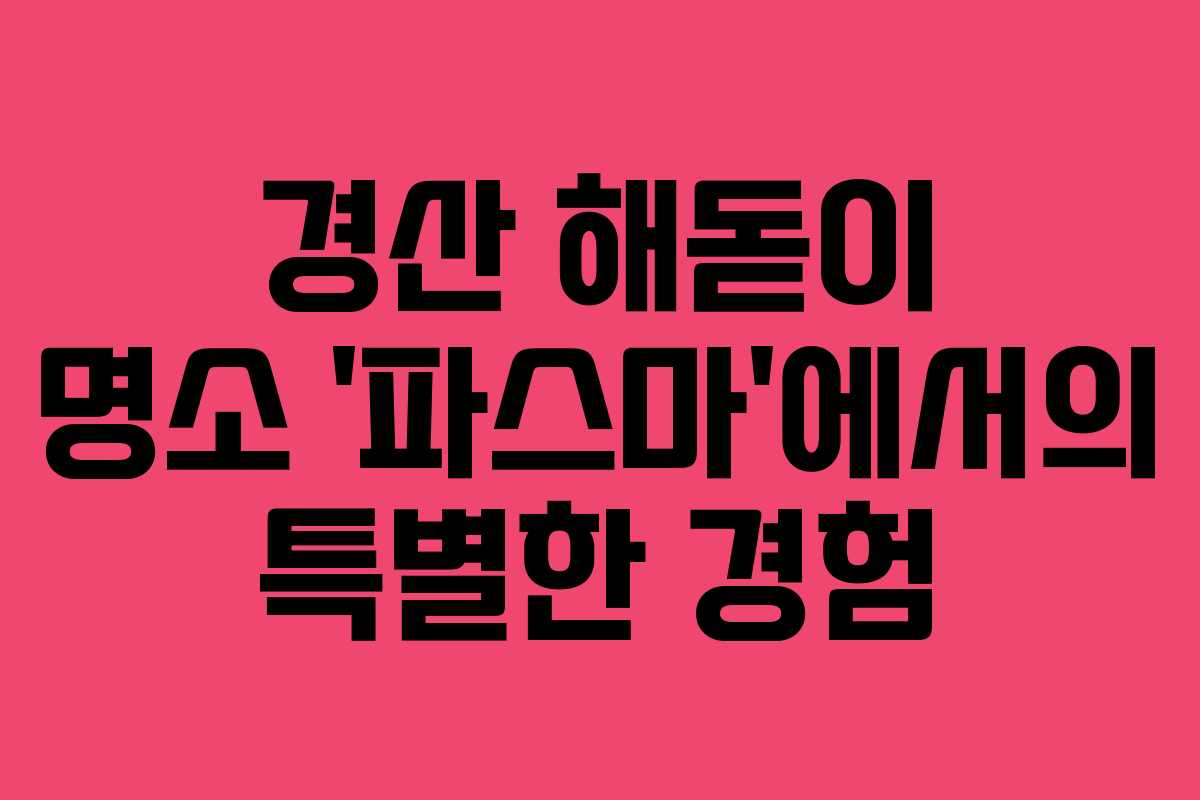 경산 해돋이 명소 ‘파스마’에서의 특별한 경험