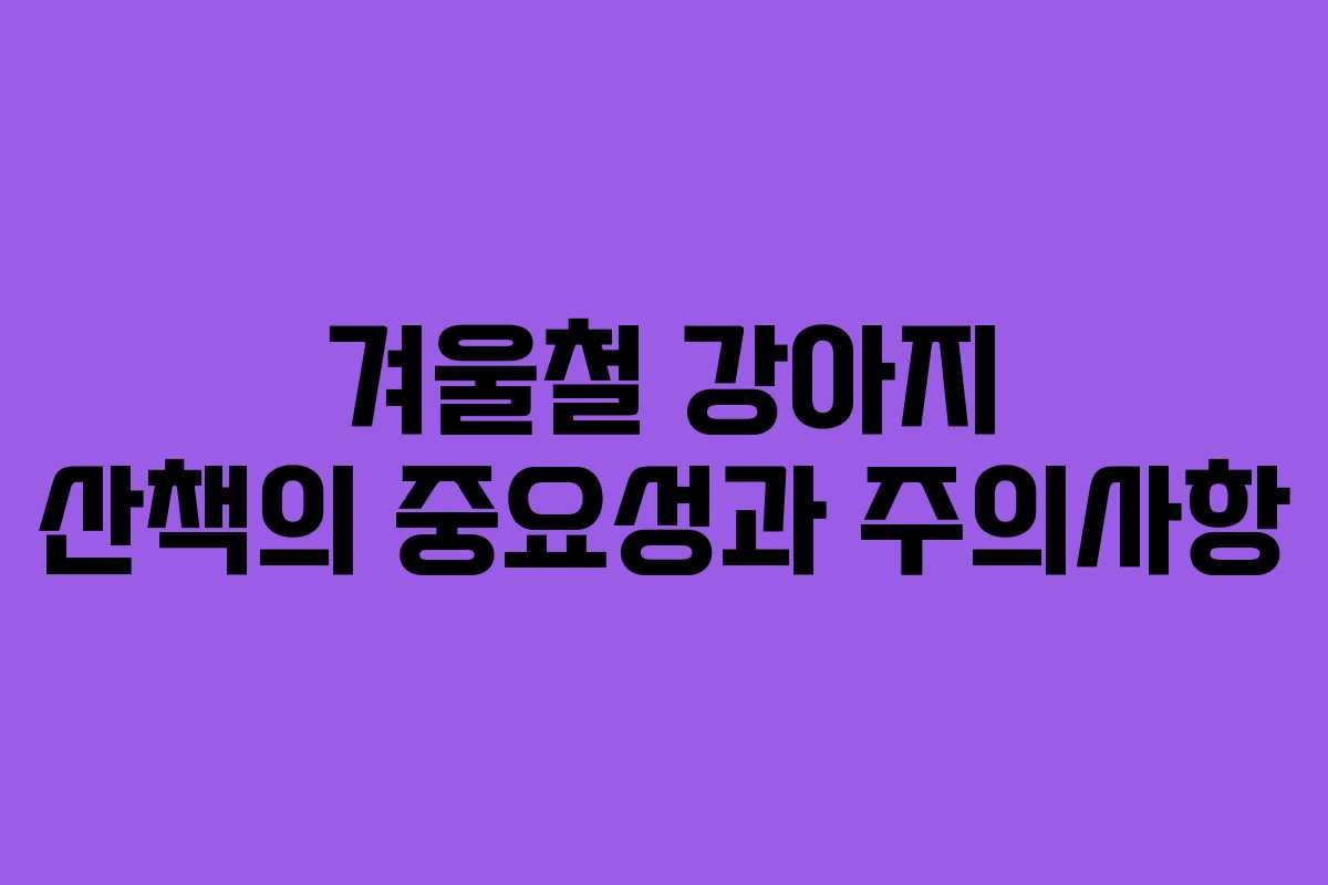 겨울철 강아지 산책의 중요성과 주의사항