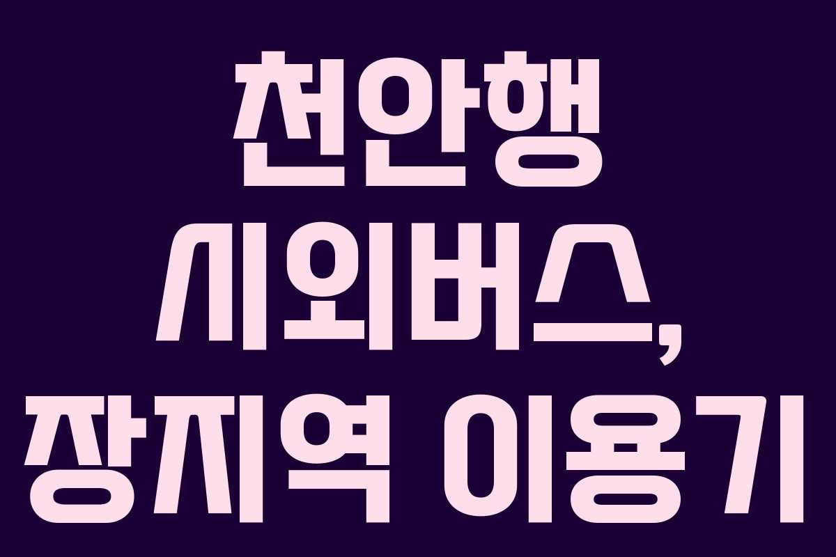 천안행 시외버스, 장지역 이용기