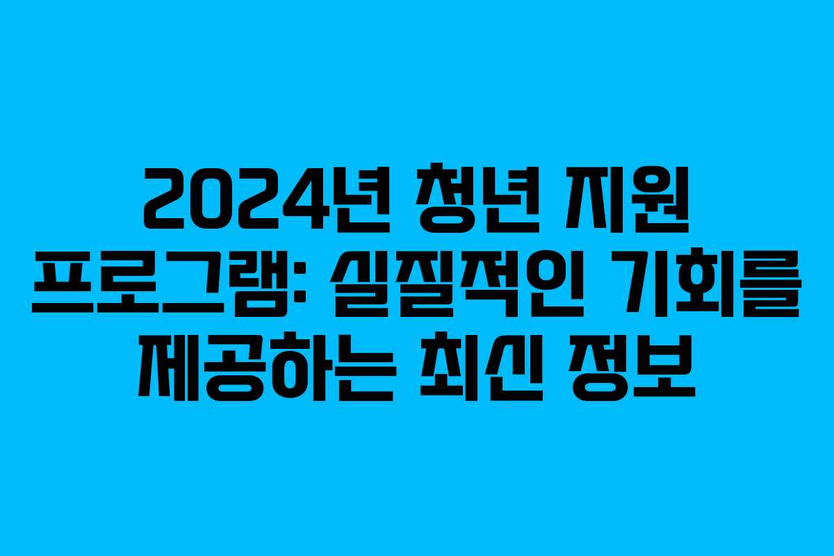2024년 청년 지원 프로그램: 실질적인 기회를 제공하는 최신 정보