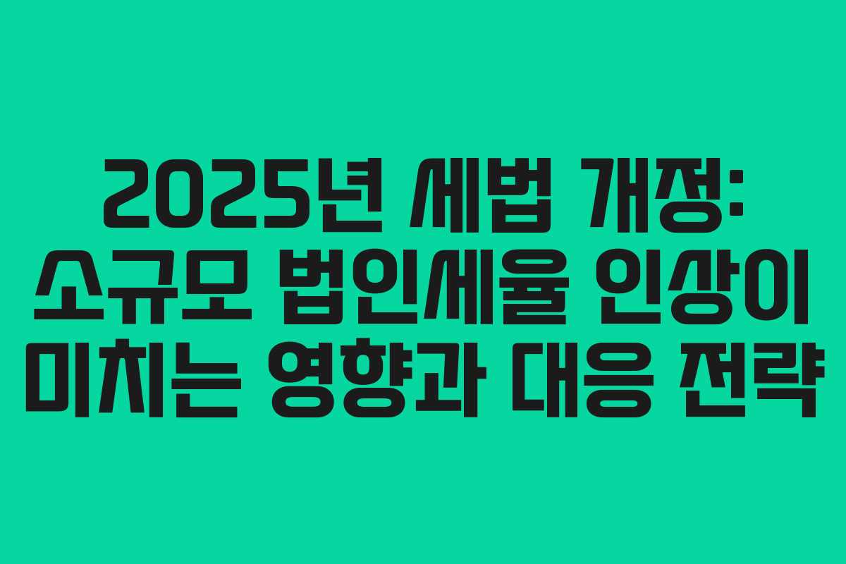 2025년 세법 개정: 소규모 법인세율 인상이 미치는 영향과 대응 전략