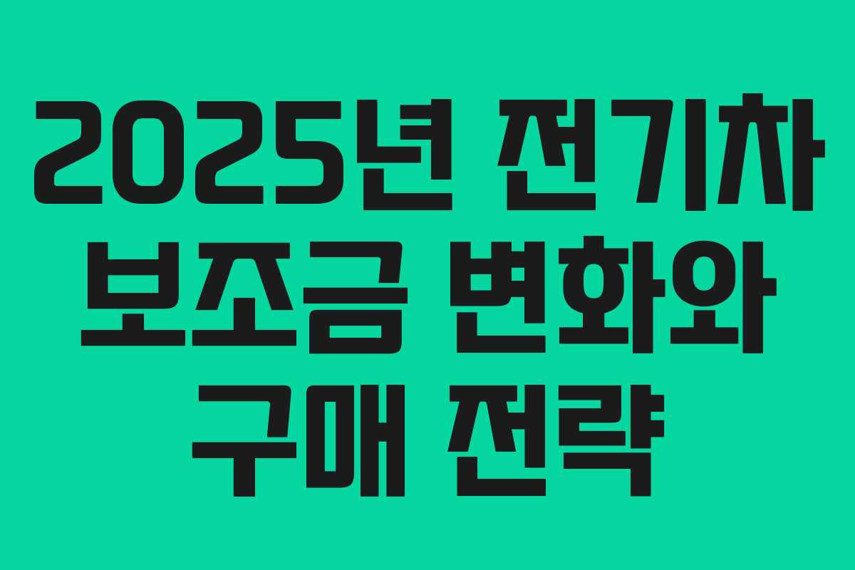 2025년 전기차 보조금 변화와 구매 전략 2025년 전기차 보조금 변화와 구매 전략