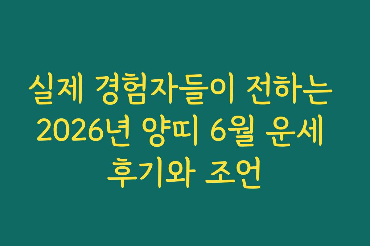 실제 경험자들이 전하는 2026년 양띠 6월 운세 후기와 조언