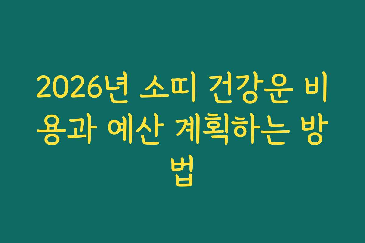 2026년 소띠 건강운 비용과 예산 계획하는 방법 2026년 소띠 건강운 비용과 예산 계획하는 방법