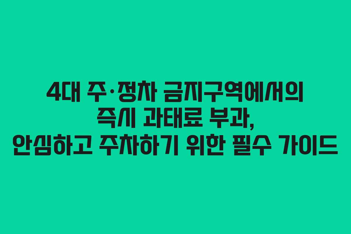 4대 주·정차 금지구역에서의 즉시 과태료 부과, 안심하고 주차하기 위한 필수 가이드