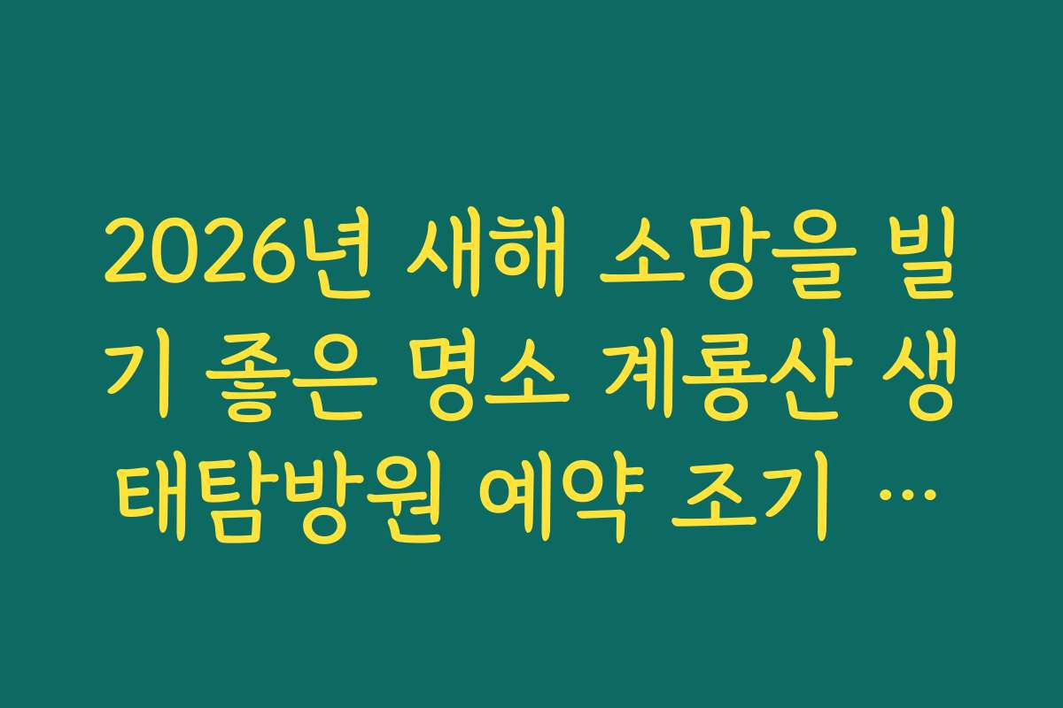 2026년 새해 소망을 빌기 좋은 명소 계룡산 생태탐방원 예약 조기 마감 주의
