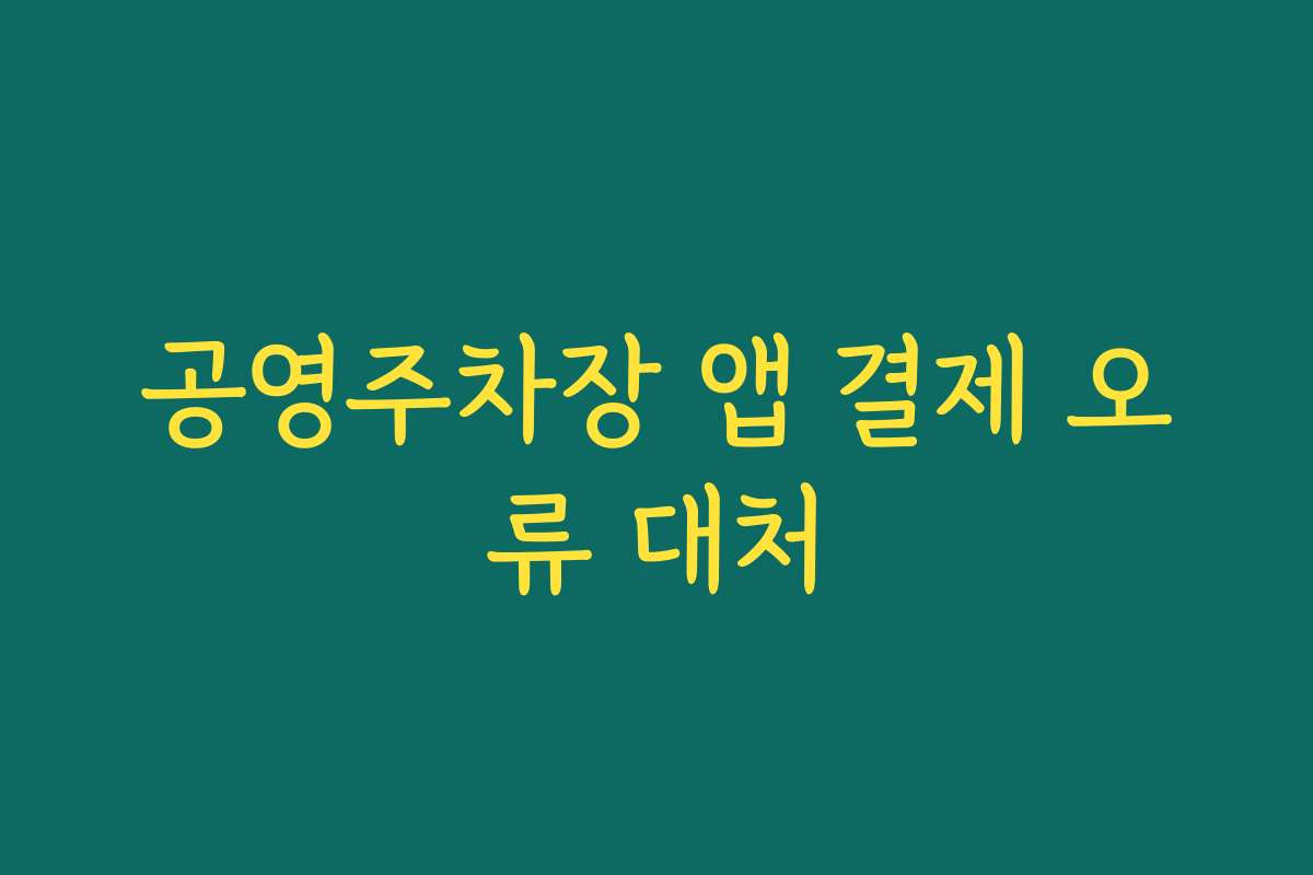 공영주차장 앱 결제 오류 대처