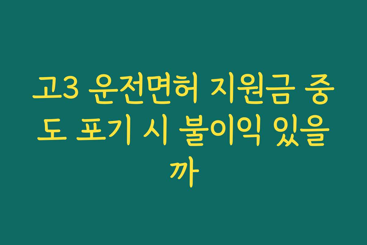 고3 운전면허 지원금 중도 포기 시 불이익 있을까 고3 운전면허 지원금 중도 포기 시 불이익 있을까