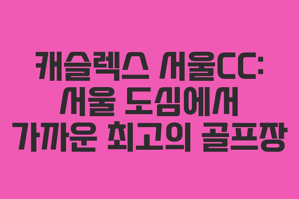 캐슬렉스 서울CC: 서울 도심에서 가까운 최고의 골프장 캐슬렉스 서울CC: 서울 도심에서 가까운 최고의 골프장