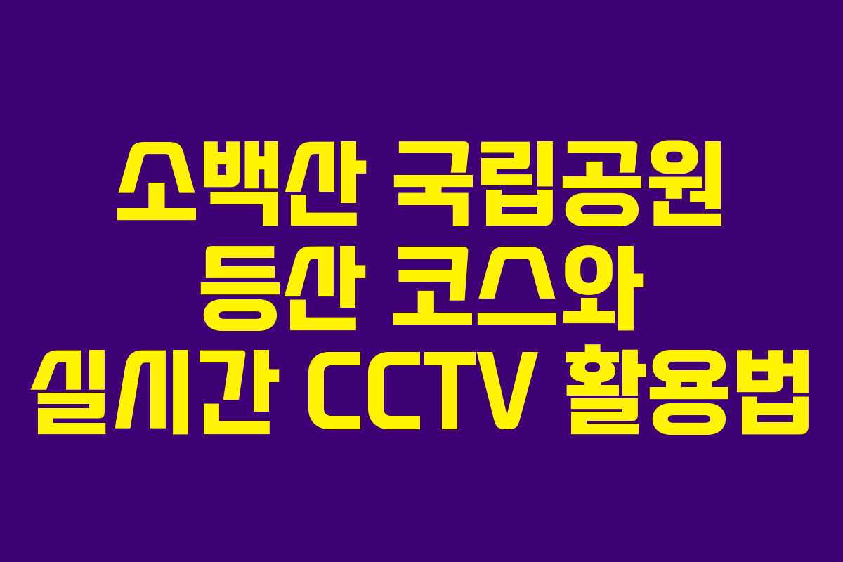 소백산 국립공원 등산 코스와 실시간 CCTV 활용법