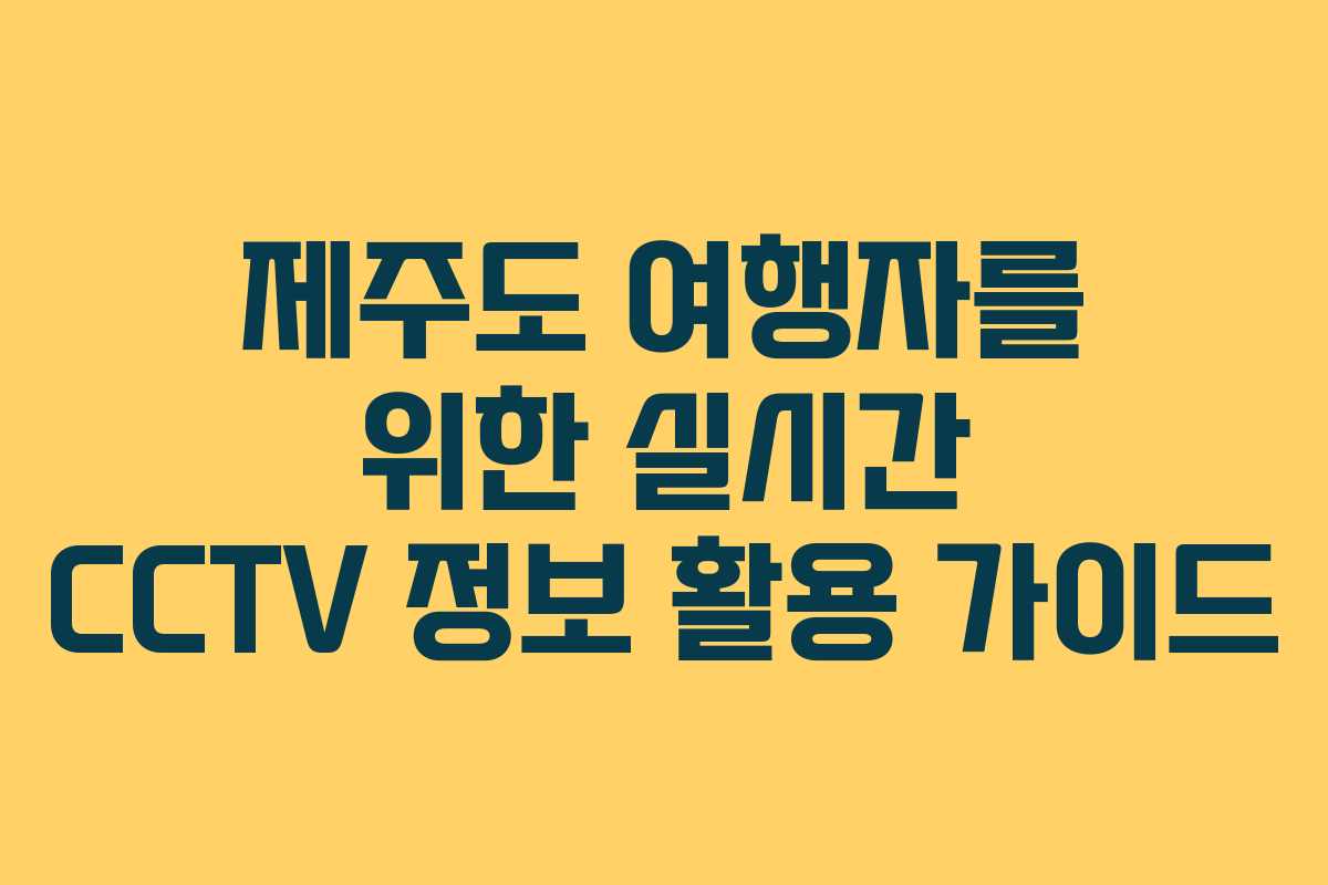 제주도 여행자를 위한 실시간 CCTV 정보 활용 가이드
